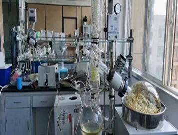 lab2.jpg