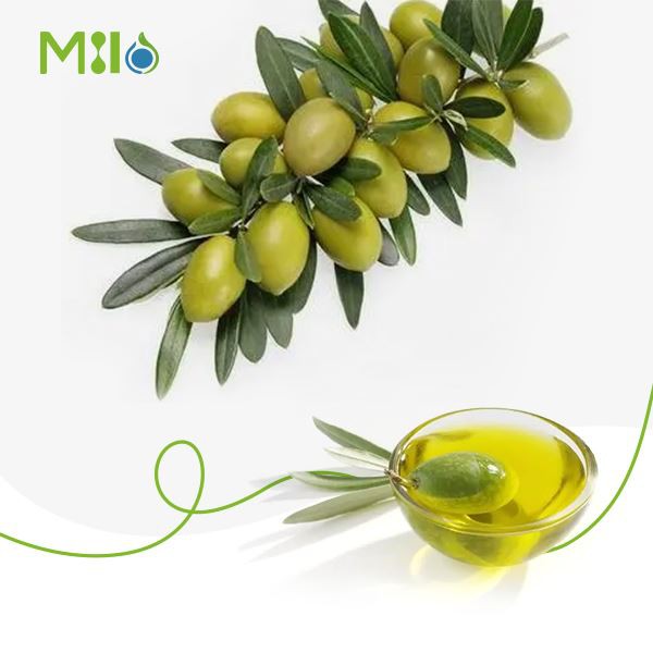 Natrual Virgin Olive Oil Natrual Virgin Olive Oil