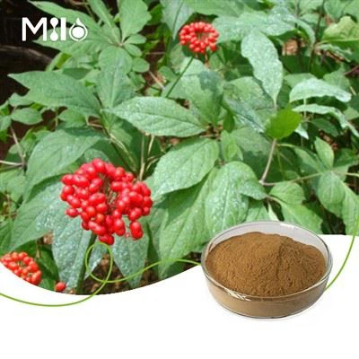 Polvo de extracto de raíz de Ashwagandha