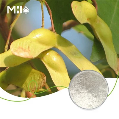 Polvo de ácido nervónico