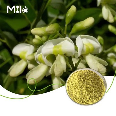 Polvo de dihidrato de quercetina